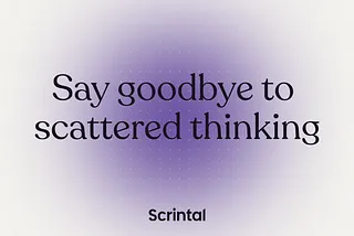 Prioritising performance & what’s ahead for Scrintal